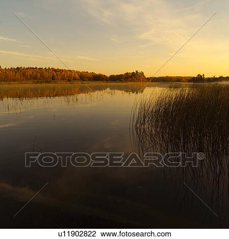Horizon over Lake at Dusk View Large Photo Image Stock Image - Horizon over Lake at Dusk. Fotosearch