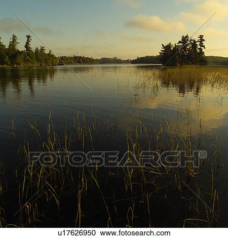 Stock Image - Lake of the woods - Ontario, Canada. Fotosearch