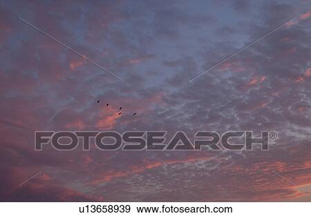 Lake Photography - Birds Flying in Sky View Large Photo Image Stock Photo - Lake Photography - Birds Flying in Sky. Fotosearch