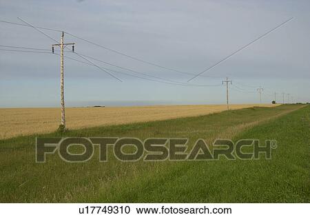 Manitoba Prairie Scenes View Large Photo Image Stock Image - Manitoba Prairie Scenes. Fotosearch