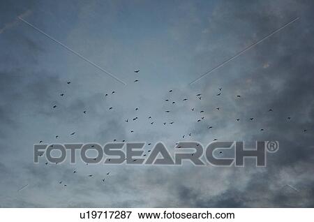 Stock Photo - Myanmar - Bagan. Fotosearch