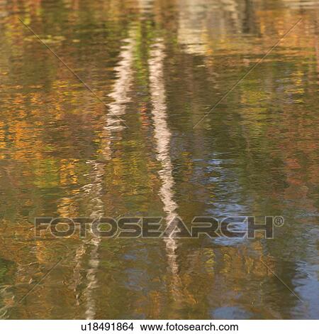 Picture - Reflection of autumn trees in the water. Fotosearch