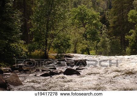 River in Forest View Large Photo Image Stock Photo - River in Forest. Fotosearch