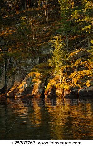 Rocky shoreline at Lake of the Woods View Large Photo Image Stock Image - Rocky shoreline at Lake of the Woods. Fotosearch