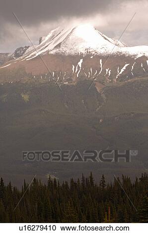 Snow Capped Mountain Peak, Jasper National Park, Canada View Large Photo Image Stock Image - Snow Capped Mountain Peak, Jasper National Park, Canada. Fotosearch
