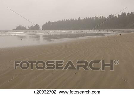 Beach on a cloudy day, Florencia Bay, Vancouver Island, Canada View Large Photo Image Stock Image - Beach on a cloudy day, Florencia Bay, Vancouver Island, Canada. Fotosearch