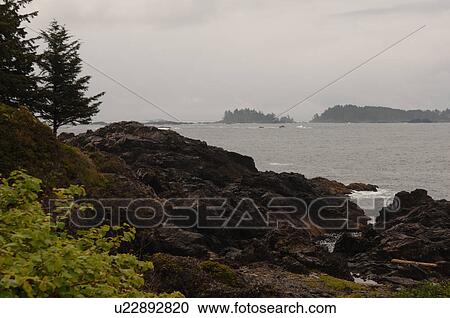 Inlet, Vancouver Island, Canada View Large Photo Image Stock Image - Inlet, Vancouver Island, Canada. Fotosearch