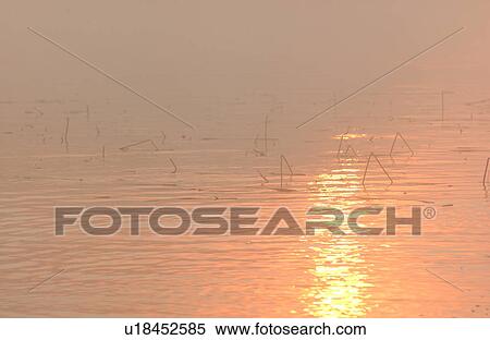 Lake of the Woods at sunrise View Large Photo Image Stock Photography - Lake of the Woods at sunrise. Fotosearch