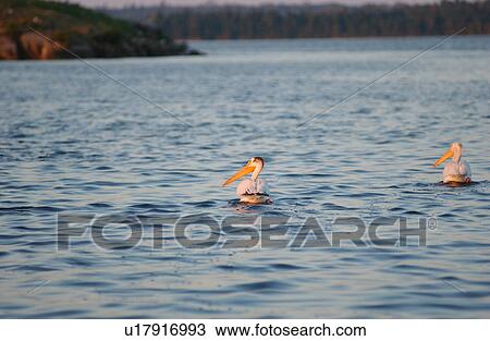 Lake Scenes View Large Photo Image Stock Image - Lake Scenes. Fotosearch