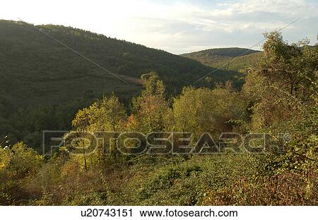Stock Image - Landscapes - Tuscany, Italy. Fotosearch