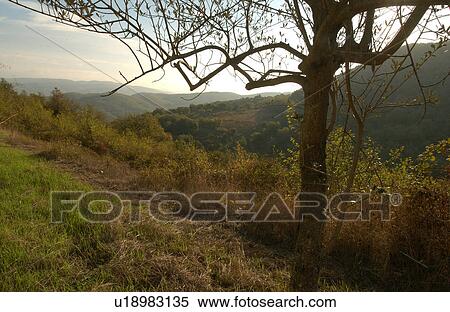 Stock Photography - Landscapes - Tuscany, Italy. Fotosearch