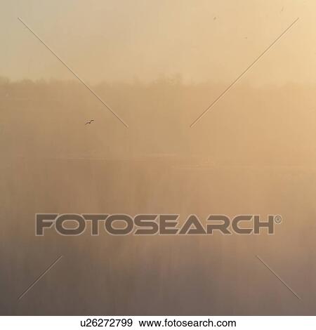 Niagara Falls View Large Photo Image Stock Photo - Niagara Falls. Fotosearch