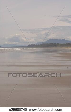 Stock Image - Sandy beach, Pacific Rim National Park, Vancouver Island, Canada. Fotosearch