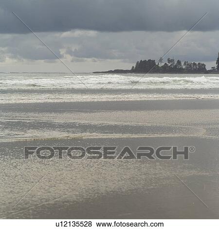 Shoreline of Long Beach, Pacific Rim Park, Vancouver Island, Canada View Large Photo Image Stock Photo - Shoreline of Long Beach, Pacific Rim Park, Vancouver Island, Canada. Fotosearch