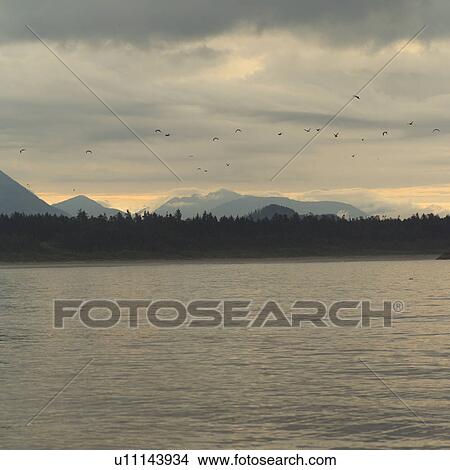 Picture - Sunrise Seascape View of Pacific Ocean, Pacific Rim Park, Vancouver Island, Canada. Fotosearch