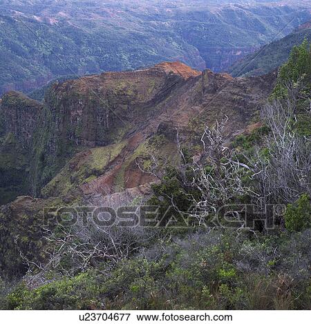 Waimea Canyon - Kauai, Hawaii View Large Photo Image Stock Photo - Waimea Canyon - Kauai, Hawaii. Fotosearch