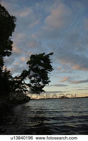 Branches of a tree leaning over Lake of the woods View Large Photo Image Stock Photograph - Branches of a tree leaning over Lake of the woods. Fotosearch