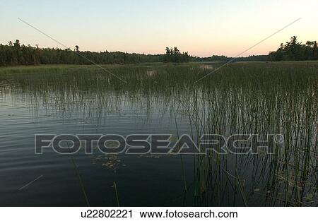 Stock Image - Lake of the Woods, Ontario, Canada. Fotosearch