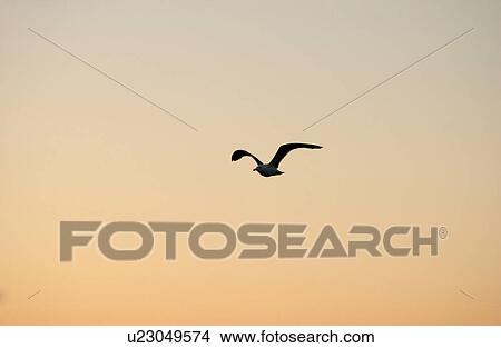 Lake Scenes View Large Photo Image Picture - Lake Scenes. Fotosearch