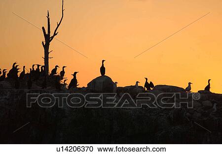 Lake Scenes View Large Photo Image Stock Image - Lake Scenes. Fotosearch