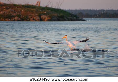 Lake Scenes View Large Photo Image Stock Photograph - Lake Scenes. Fotosearch