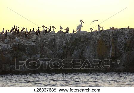 Stock Photography - Lake Scenes. Fotosearch