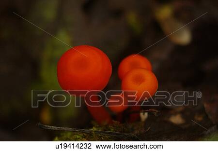 Stock Image - Lake lifestyle. Fotosearch