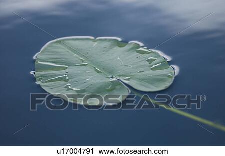 Stock Image - Lake Photography. Fotosearch