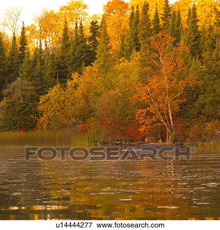 Stock Photo - Autumn Forest Reflected in Lake. Fotosearch