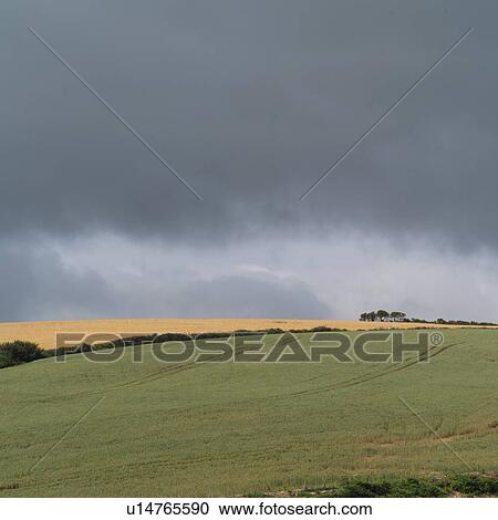 Stock Image - Ireland - countryside farmland. Fotosearch