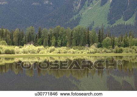 Stock Photograph - Reflection in Lake, Robson Provincial Park, Canada. Fotosearch
