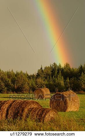 View of a rainbow over a farm View Large Photo Image Stock Photo - View of a rainbow over a farm. Fotosearch