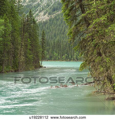 Young girl on hiking path in forest, Mt. Robson Provincial Park View Large Photo Image Stock Image - Young girl on hiking path in forest, Mt. Robson Provincial Park. Fotosearch