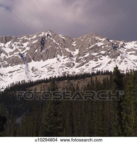 Picture - Canadian Rocky Mountains. Fotosearch