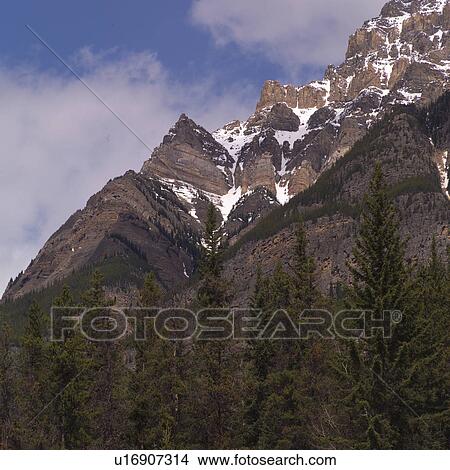 Rocky Mountains and trees View Large Photo Image Picture - Rocky Mountains and trees. Fotosearch