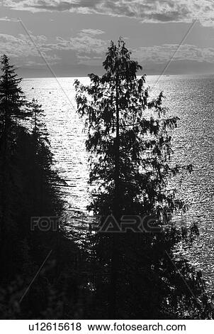 View from Prospect Point in Stanley Park View Large Photo Image Stock Photo - View from Prospect Point in Stanley Park. Fotosearch
