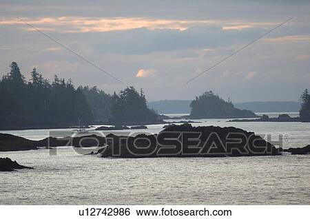 Broken Islands, Pacific Rim National Park, Vancouver Island, Canada View Large Photo Image Stock Photograph - Broken Islands, Pacific Rim National Park, Vancouver Island, Canada. Fotosearch