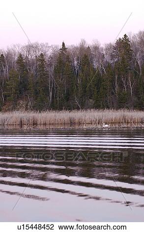 Lake Photography View Large Photo Image Stock Image - Lake Photography. Fotosearch
