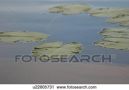 Stock Image - Lake Photography. Fotosearch