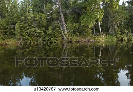 Lake Photography View Large Photo Image Stock Photo - Lake Photography. Fotosearch