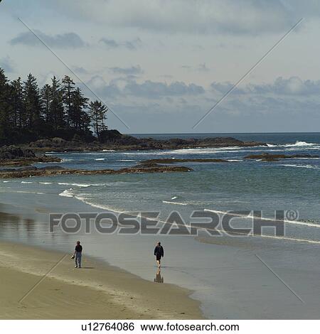 Stock Photograph - People walking along beach, Pacific Rim Park, Vancouver Island, Canada. Fotosearch