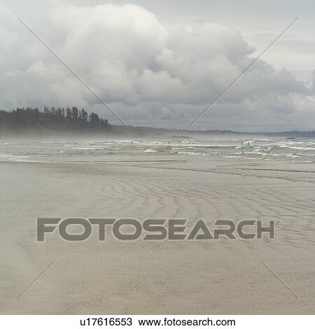 Shoreline of Long Beach, Pacific Rim Park, Vancouver Island, Canada View Large Photo Image Stock Image - Shoreline of Long Beach, Pacific Rim Park, Vancouver Island, Canada. Fotosearch