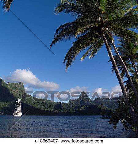 Stock Photo - White Ship near Shore at Moorea in Tahiti. Fotosearch