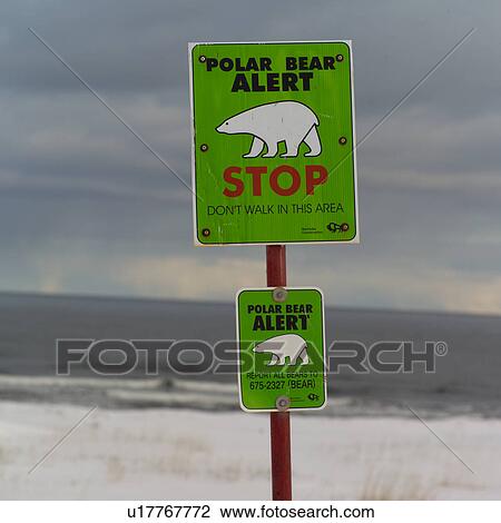 Stock Image - Churchill Northern Manitoba Polar Bear Warning Sign. Fotosearch