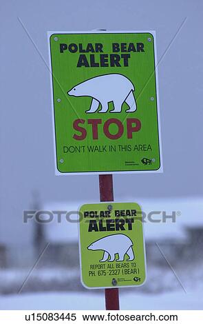 Stock Photography - Churchill Northern Manitoba Polar Bear Warning Sign. Fotosearch