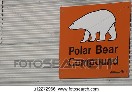 Churchill Northern Manitoba town and surroundings Polar Bear Compound View Large Photo Image Stock Photograph - Churchill Northern Manitoba town and surroundings Polar Bear Compound. Fotosearch