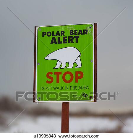 Stock Image - Polar Bear Alert Sign. Fotosearch