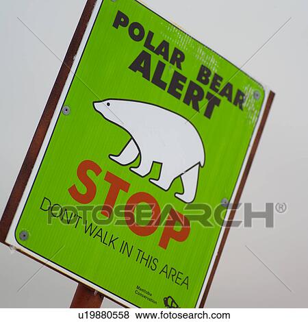Stock Photo - Polar Bear Alert Sign. Fotosearch