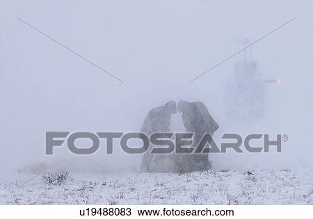 Stock Image - Churchill Northern Manitoba Helicopter and Polar Bear. Fotosearch
