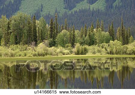 Stock Photography - Reflection in Lake, Robson Provincial Park, Canada. Fotosearch